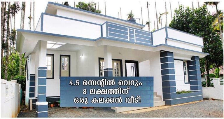 750 Square Feet Single Bedroom Low Budget Home Design and Plan