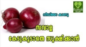 Store Onions