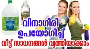 Vinegar