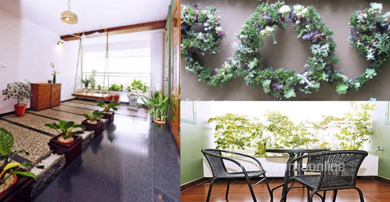 Here are some tips for housewives to grow flowering plants and vegetables-video malayalam