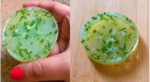 Aloevera Homemade Soap