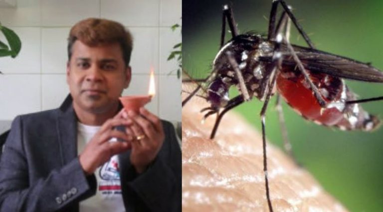 Get Rid of Mosquitoes