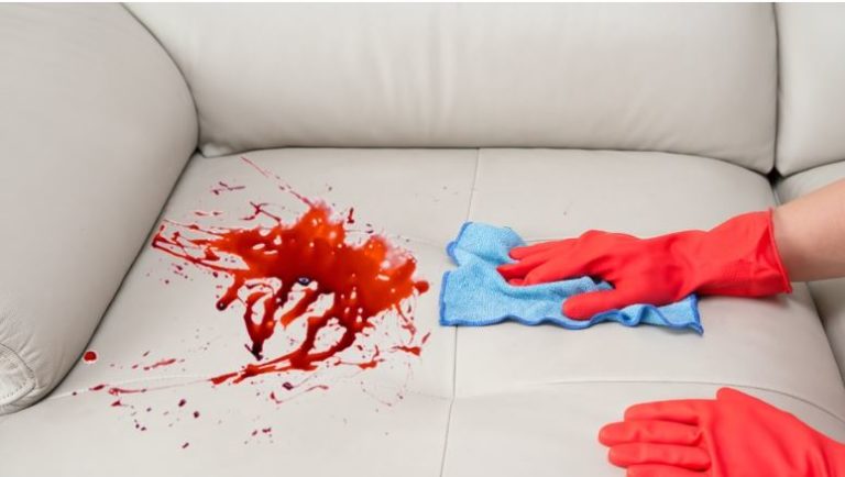Remove a Stain from a Sofa
