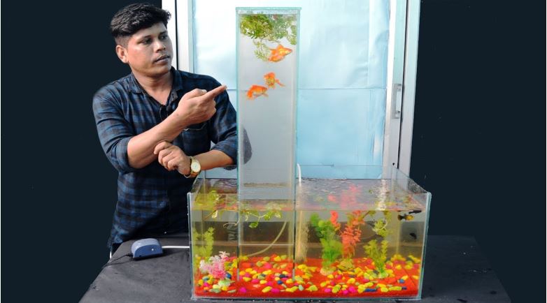 How To Make Aquarium