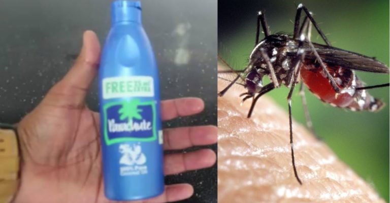 get rid of mosquitoes