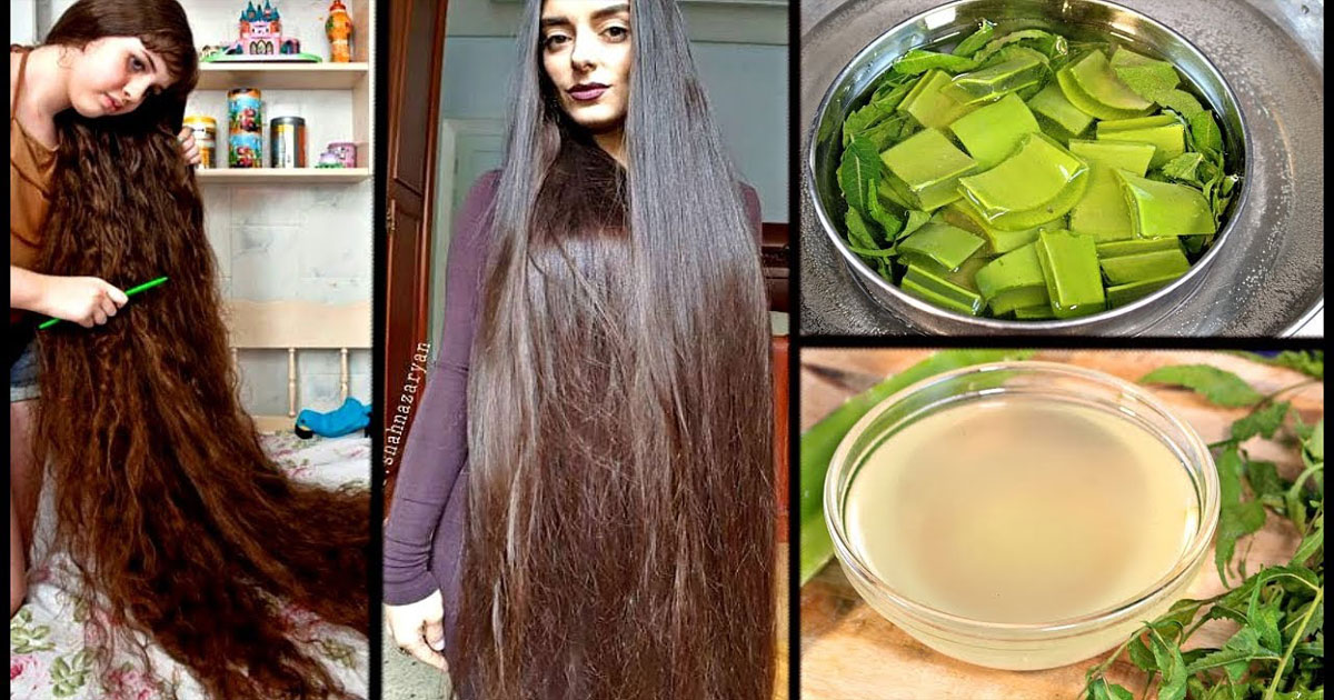 Powerful Home Remedies For Hair Growth - Home Pictures :: Easy Tips