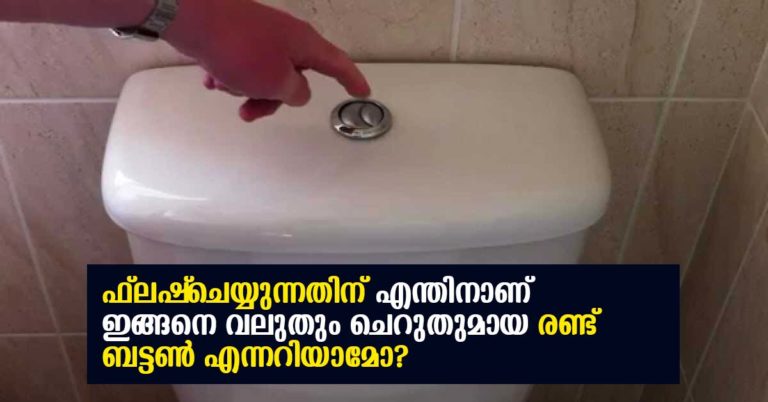 Why  there a partition on the toilet flush  button-malayalam video