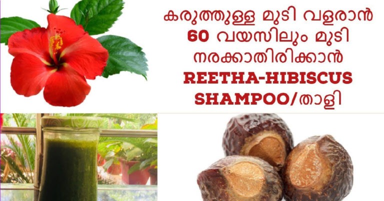 homemade shampoo