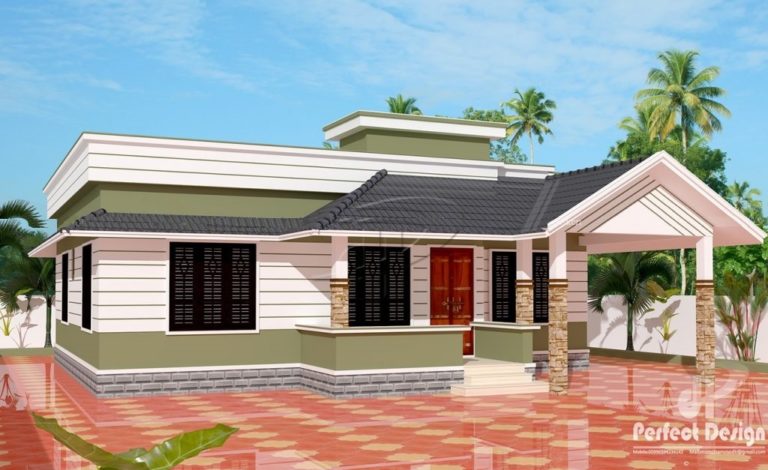 860 Square Feet 2 Bedroom Low Budget Single Floor Modern Slope Roof Home Design and Plan