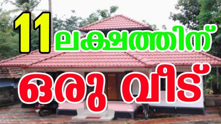 11 Lack Small House