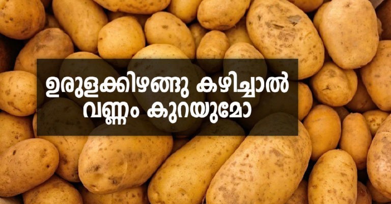 potato