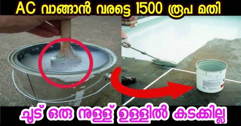 Prevent Heat Roof