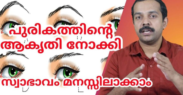 shape of eyebrow and personality