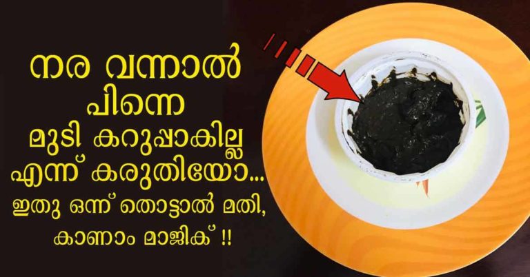 100%Natural Hair Dye for Hair Black