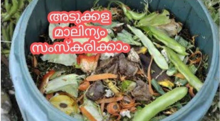 Combost making No-32 -Bini Bharathan.