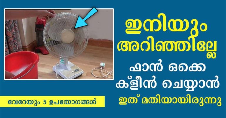 How to clean fan