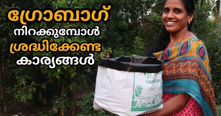 How to fill grow bag