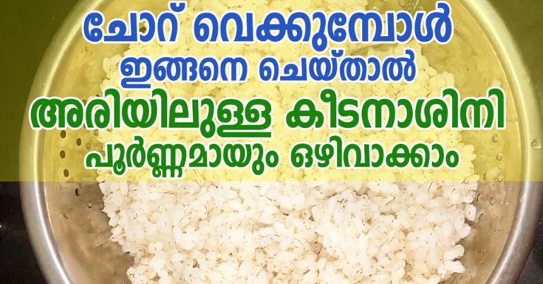 How To Clean Rice Properly: A Step-By-Step Guide
