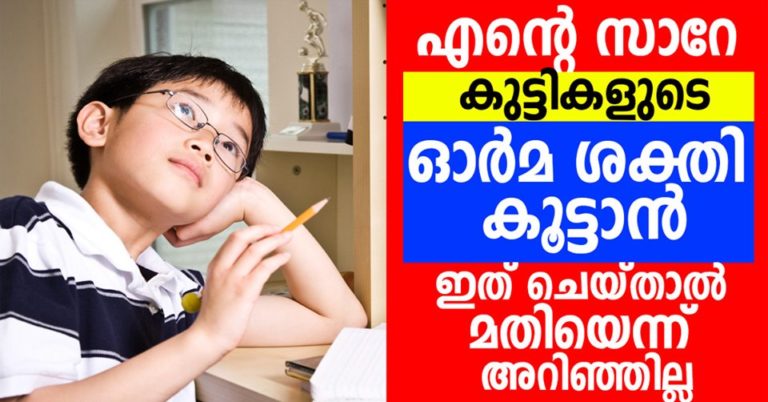 memory improving foods for kids