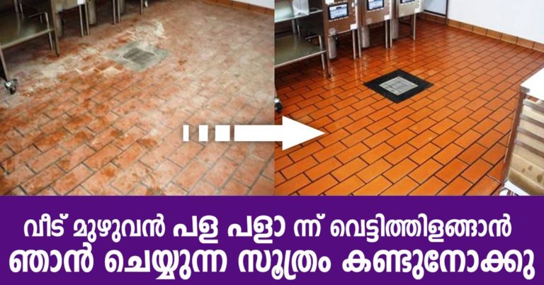 House cleaning tips & tricks with malayalam video