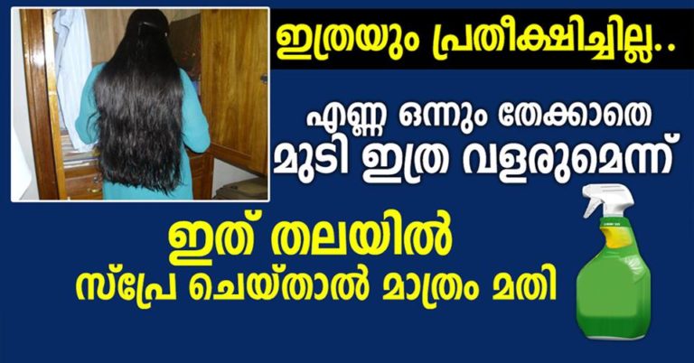 Grow Long Thicken Hair Faster with Onion and Potato