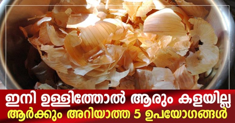 Good Reasons To Save Those Onion and Garlic Skins