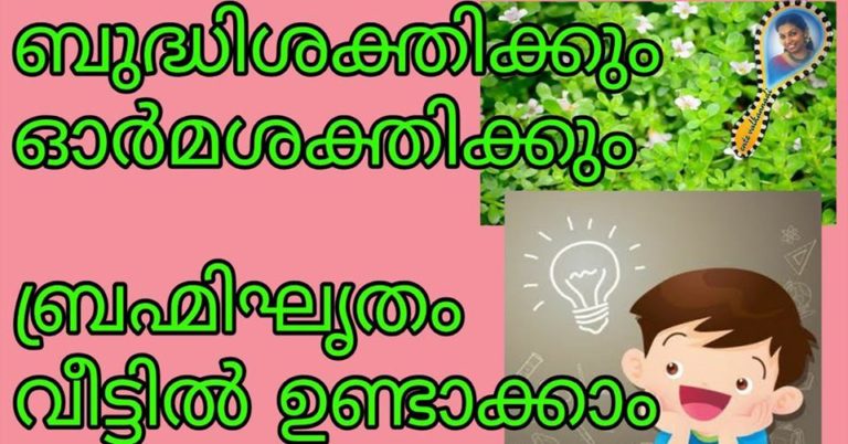Brahmighritham