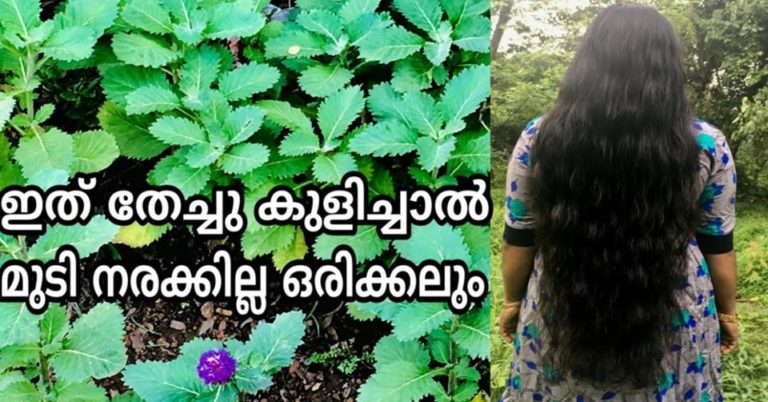 Natural remedy for blacken hair
