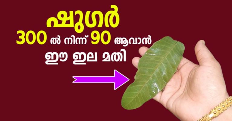 What are the health benefits of guava?