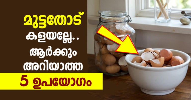 How to Fertilize Soil With Eggshells