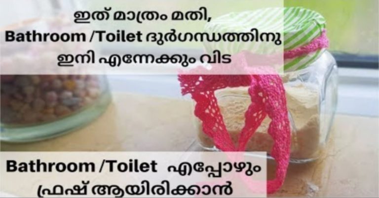 Toilet Air freshner