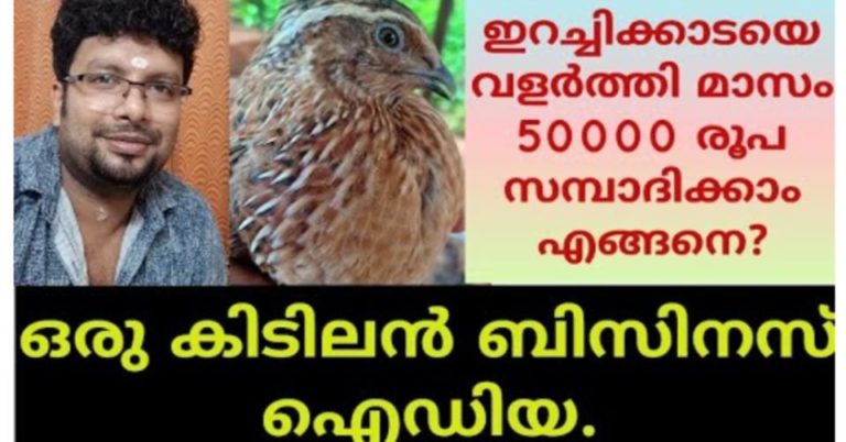 How to earn Monthly 50000 by Quail meat farming ??