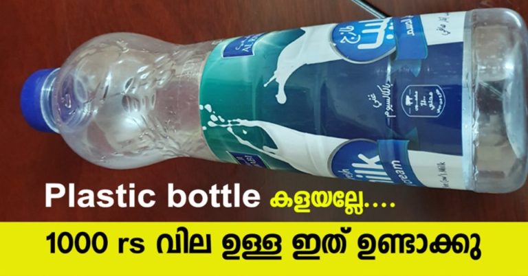 The Dangers of Reusing Plastic Bottles
