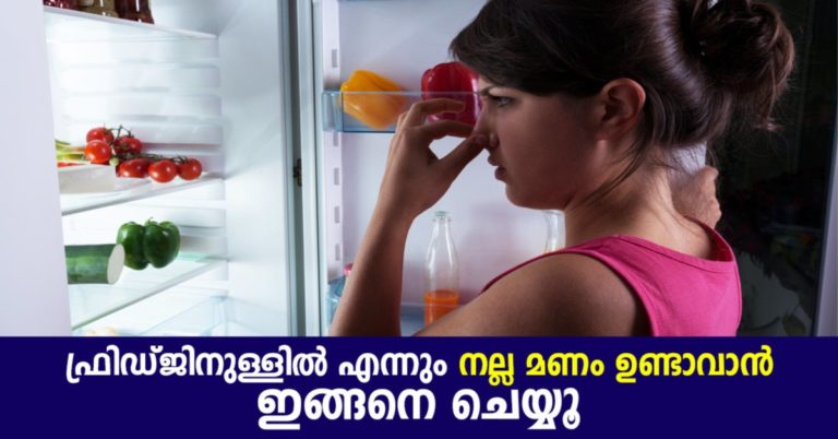 5 Natural Remedies for Deodorizing a Refrigerator