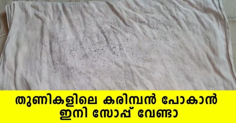 How to get Mold out of Clothes and Fabric
