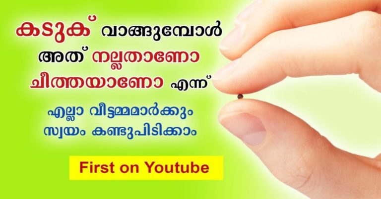 Black Mustard Seeds: The Most Pungent Mustard Seed