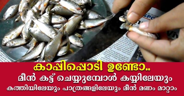 How to Get That Stinky Fish Smell Out of Your Kitchen
