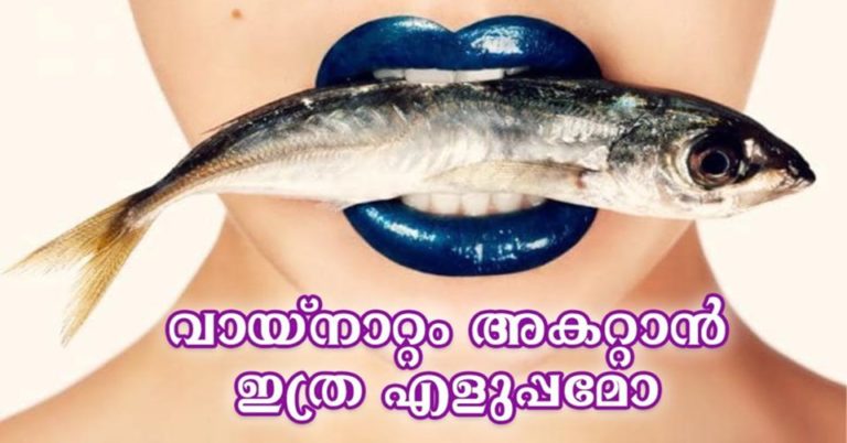 Natural and Home Remedies for Bad Breath