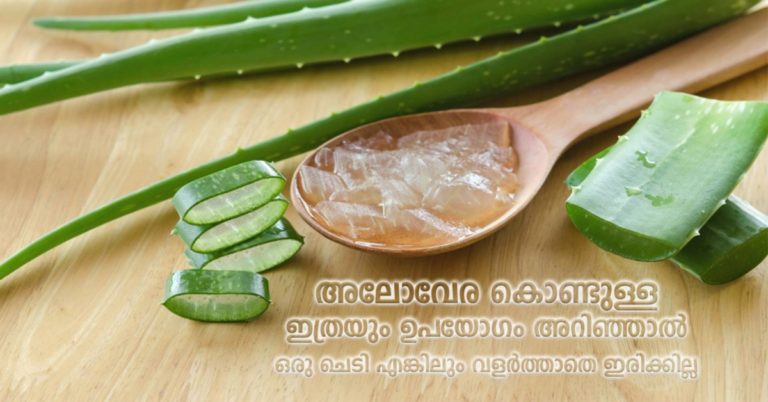 Aloevera uses