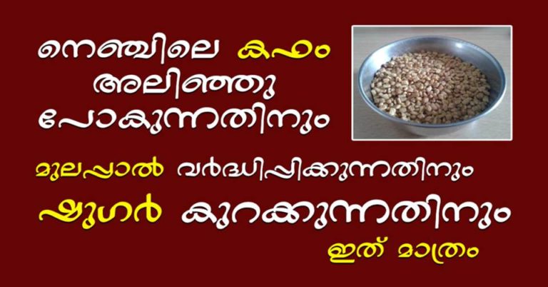 What are the Health Benefits of Fenugreek and How to Maximize Them?