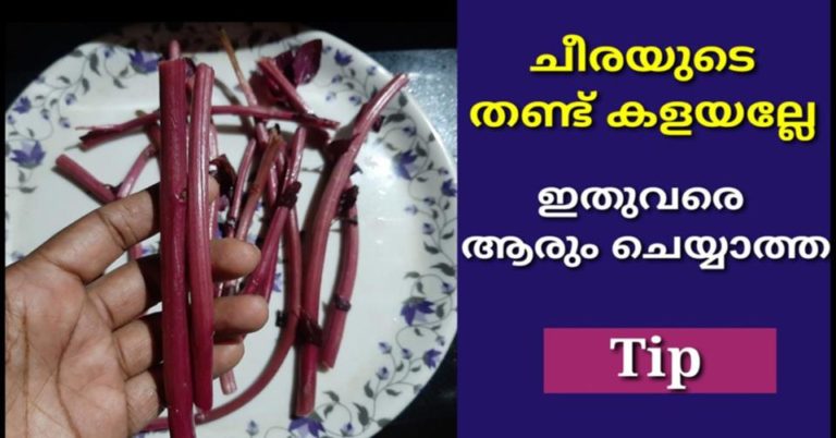 DELICIOUS WAYS TO USE UP SPINACH STEMS