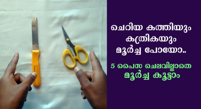 How To Get Your Dull Scissors Back To Work