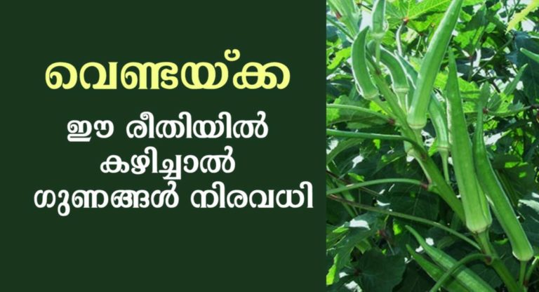 Nutrition and Health Benefits of Okra