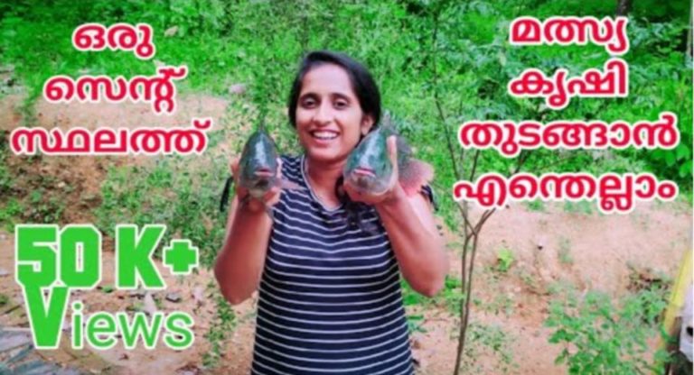 Tips to Successfully Grow Fish at Home