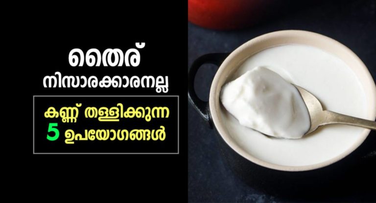 curd benefits