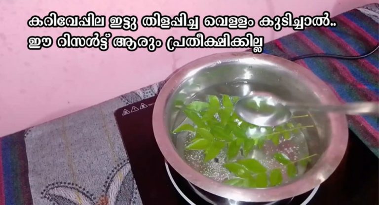 Curry Leaves For Weight Loss: Health Benefits Of Curry Leaves You Simply Cannot Miss