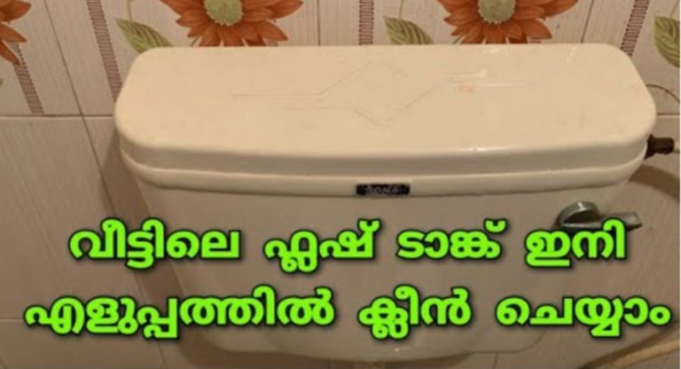Flush Tank Cleaning
