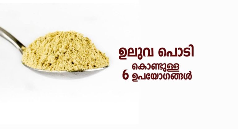 fenugreek powder uses