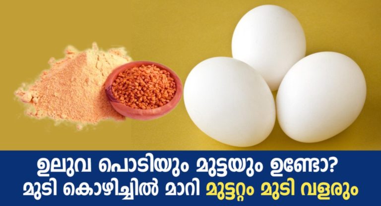Amazing Ways To Use Eggs For Strong And Shiny Hair