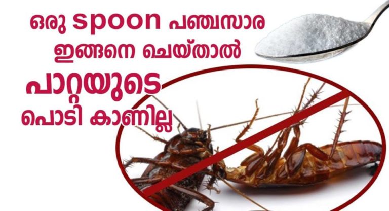 Kill Roaches with Baking Soda and Sugar